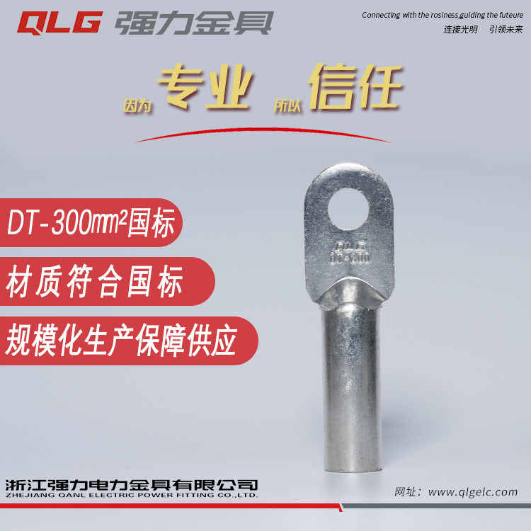 Tin - plated copper terminal terminal DT300 square thickening wire electrical copper wire nose terminal brass joint