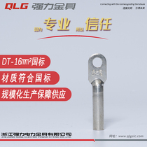 DT tinned copper nose 16 square class A wire terminal Electrical copper wire nose terminal head copper connector
