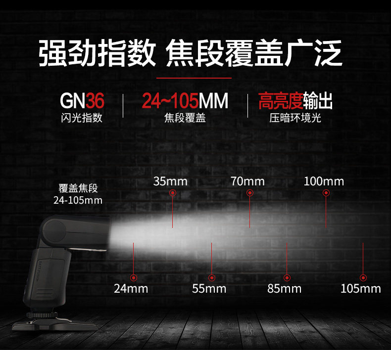 v350F_09.jpg