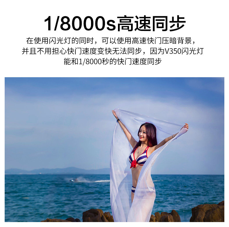 v350F_10.jpg