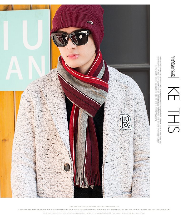 Echarpe pour homme en Cachemire - Ref 3157962 Image 26