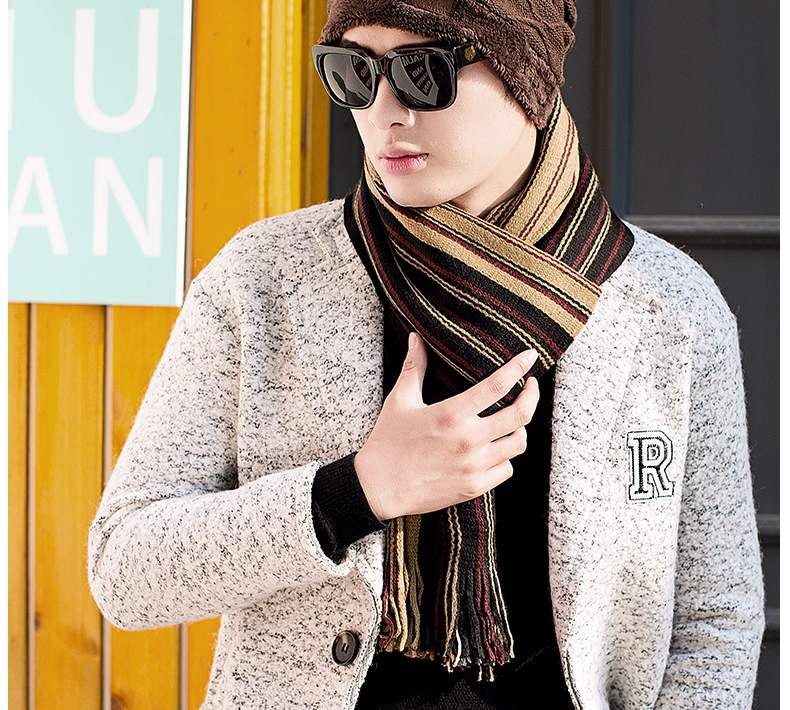 Echarpe pour homme en Cachemire - Ref 3157962 Image 15