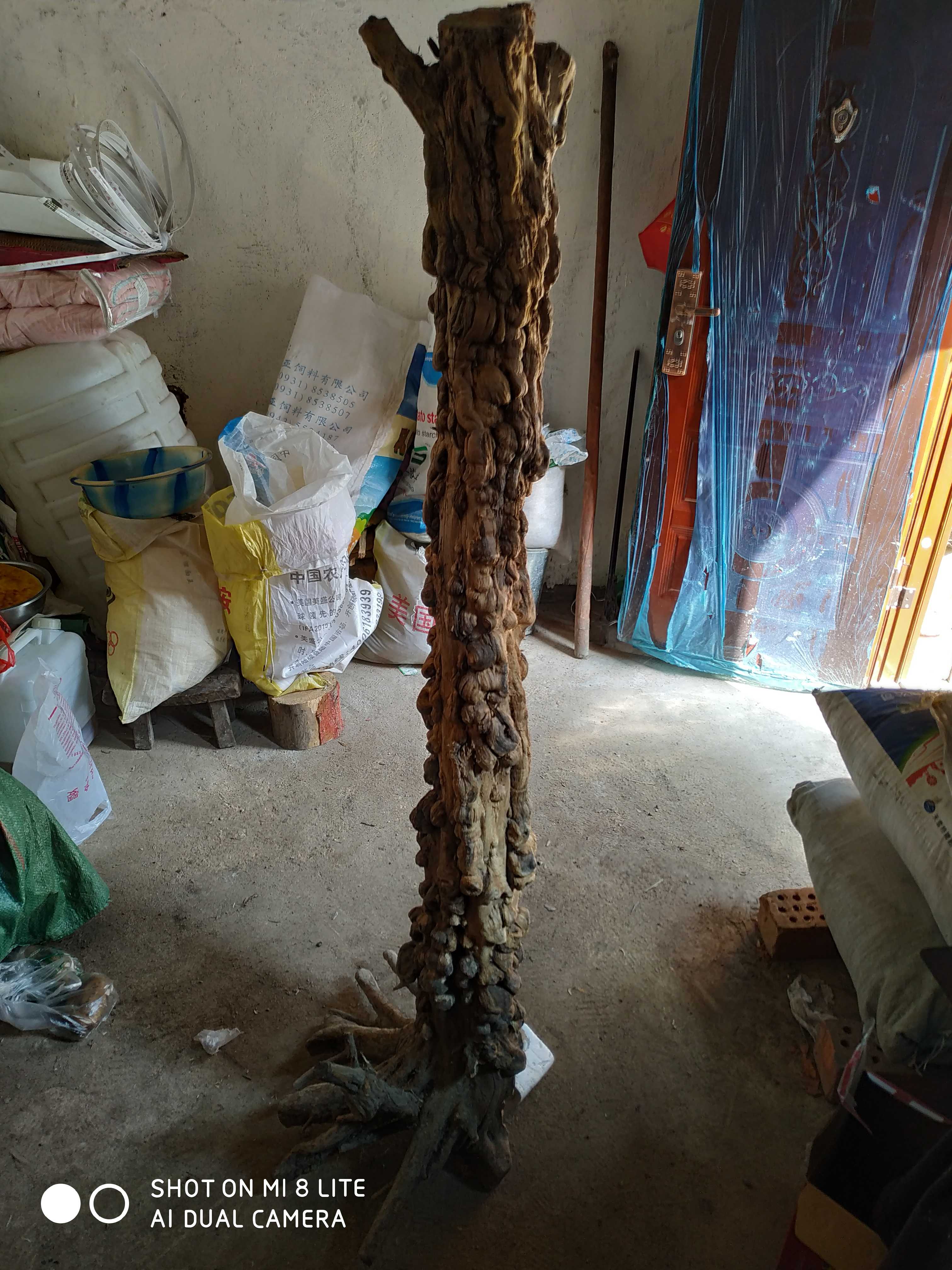 Root Carved Log Pendulum Root Carved root carved flower shelf flower shelf Vase Cliff Wood Log Double Shield Wood Downy Wood Root Carved Log