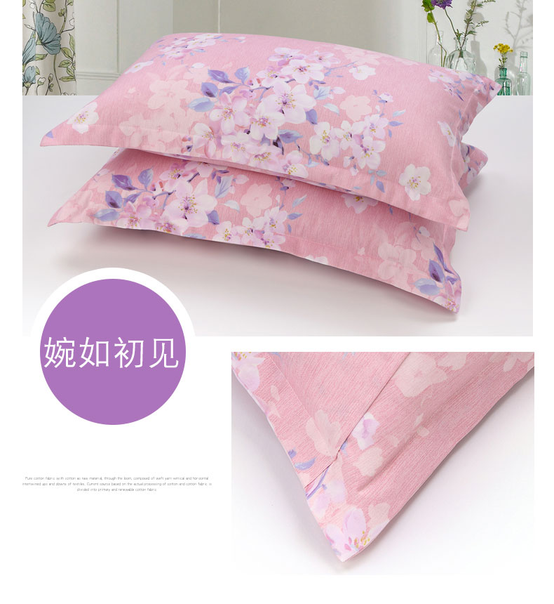 Bắt đầu dày lên chà nhám vỏ gối ký túc xá Cô gái độc thân Một cặp gối 48 74cm gối ôm cho bà bầu
