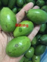 Take 2 pounds of qua coc sour fruit 1000 grams of Vietnamese fresh fruit sour crisp slightly sweet after eating sweet
