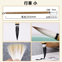 0612 Bibette-xingcao маленький