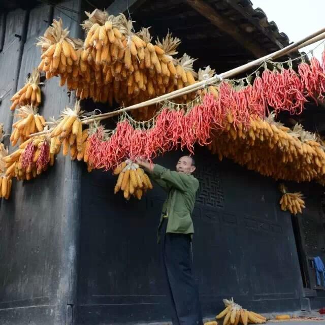黔山黔味一黄平谷陇农特产