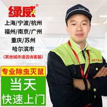 Catch and kill the mouse termite cockroach Flea Centipede killing the mouse artifact home full-end professional service