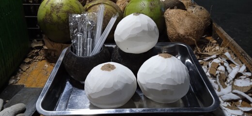 小林家椰子