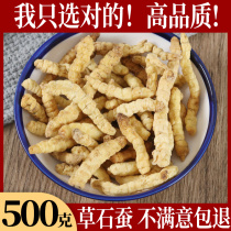 Grass silkworm 250g Chinese medicinal silkworm terra white worm grass Zelanggen new sulfur - free boutique selection