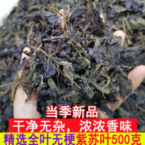 Perilla leaf dried perilla cotyledon traditional Chinese medicine spices wild natural pure fresh dried perilla leaf tea 500g g