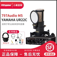 M5+YAMAHA UR22C