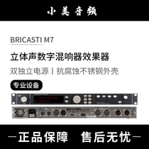 Bricasti M7 stereo digital reverberator effect