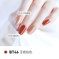 BT46 TULIP/AMBER [Semiomome]