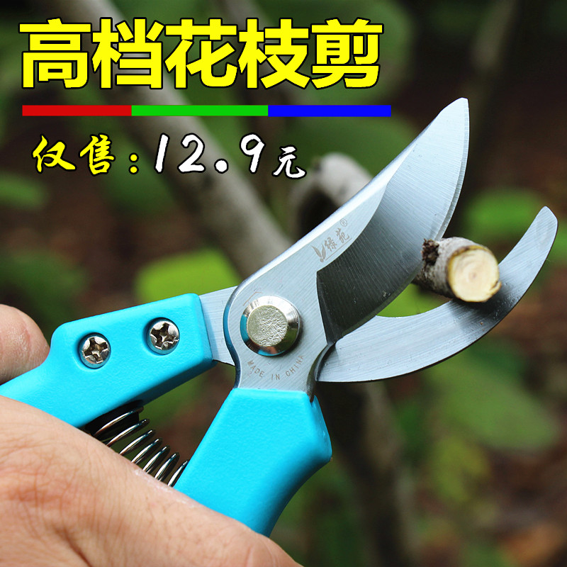 粗枝剪刀修枝剪花木剪刀摘果剪修剪树枝果树剪整枝剪园艺园林工具