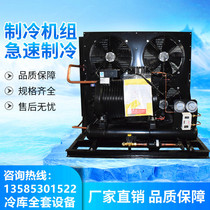 Bitzer cold storage semi-hermetic piston compressor refrigeration unit 3 HP 5 HP refrigeration equipment cryogenic unit Copeland