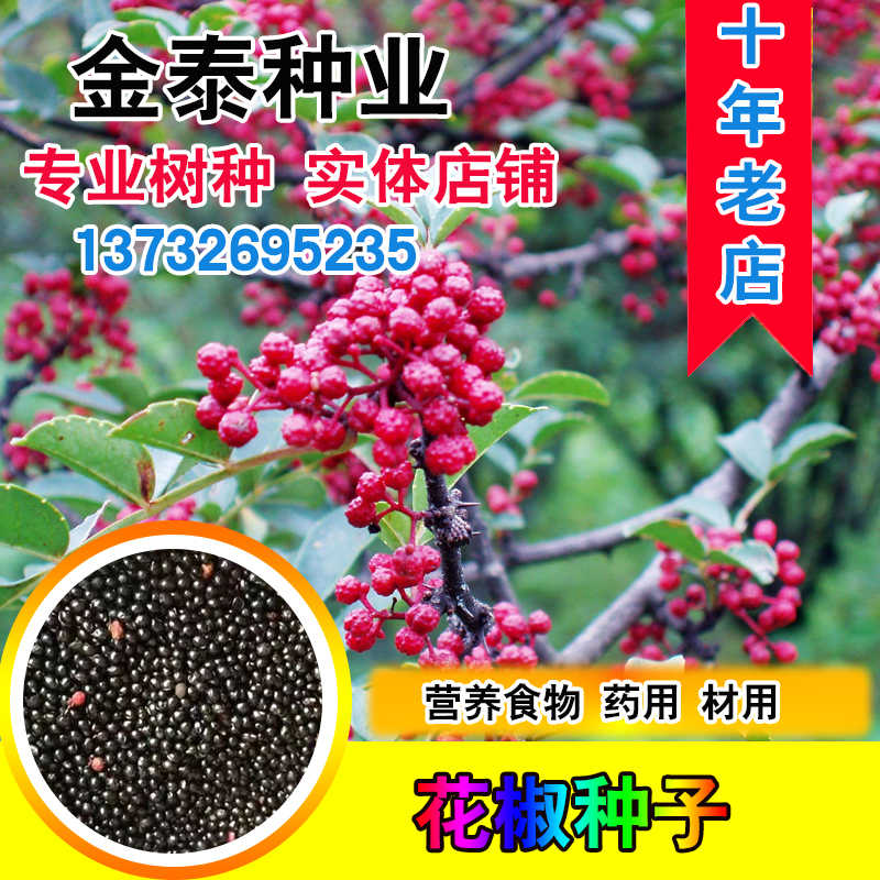 花椒种子山椒红椒麻椒大红袍花椒种子川花椒树刺篱笆
