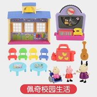 Связанная с жизнью кампуса