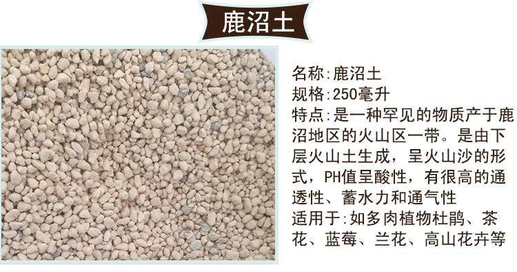 多肉植土火山岩珍珠岩蛭石陶粒赤玉石土轻石多肉植料鹿沼土 蛭石 栽培基质 园艺资材 花里巴巴 北京 花卉绿植盆栽租摆租赁销售租花养护 免费设计租摆方案 办公室室内绿化租花公司 买花 养花就上花里巴巴