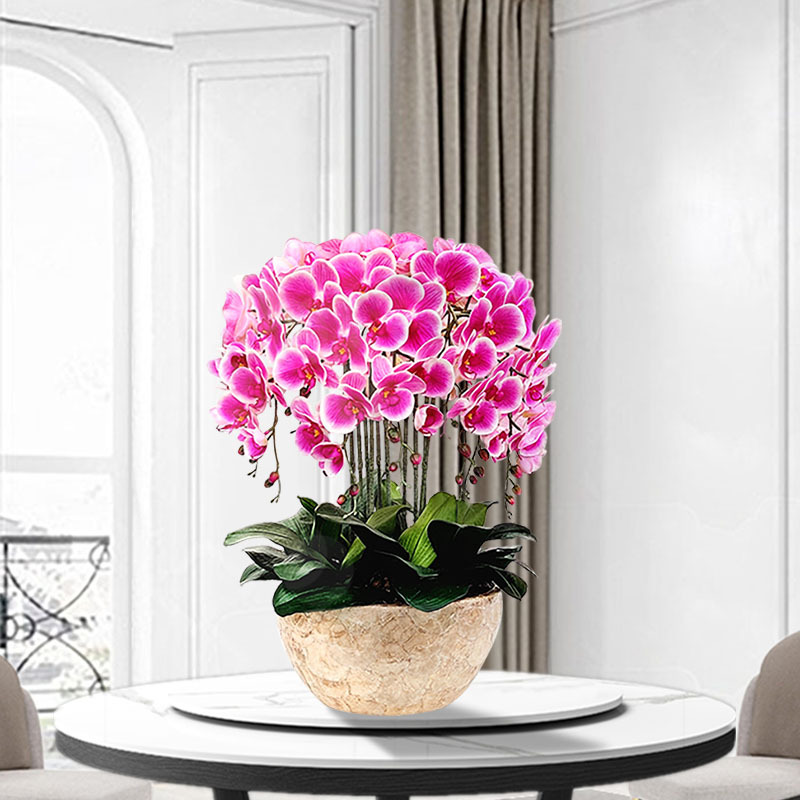Huajia Pu Full-Touch Artificial Butterfly Orchid Set, Fake Flower Arrangement for Living Room Decoration, Fake Flower Potted Plant That Purifies the Air