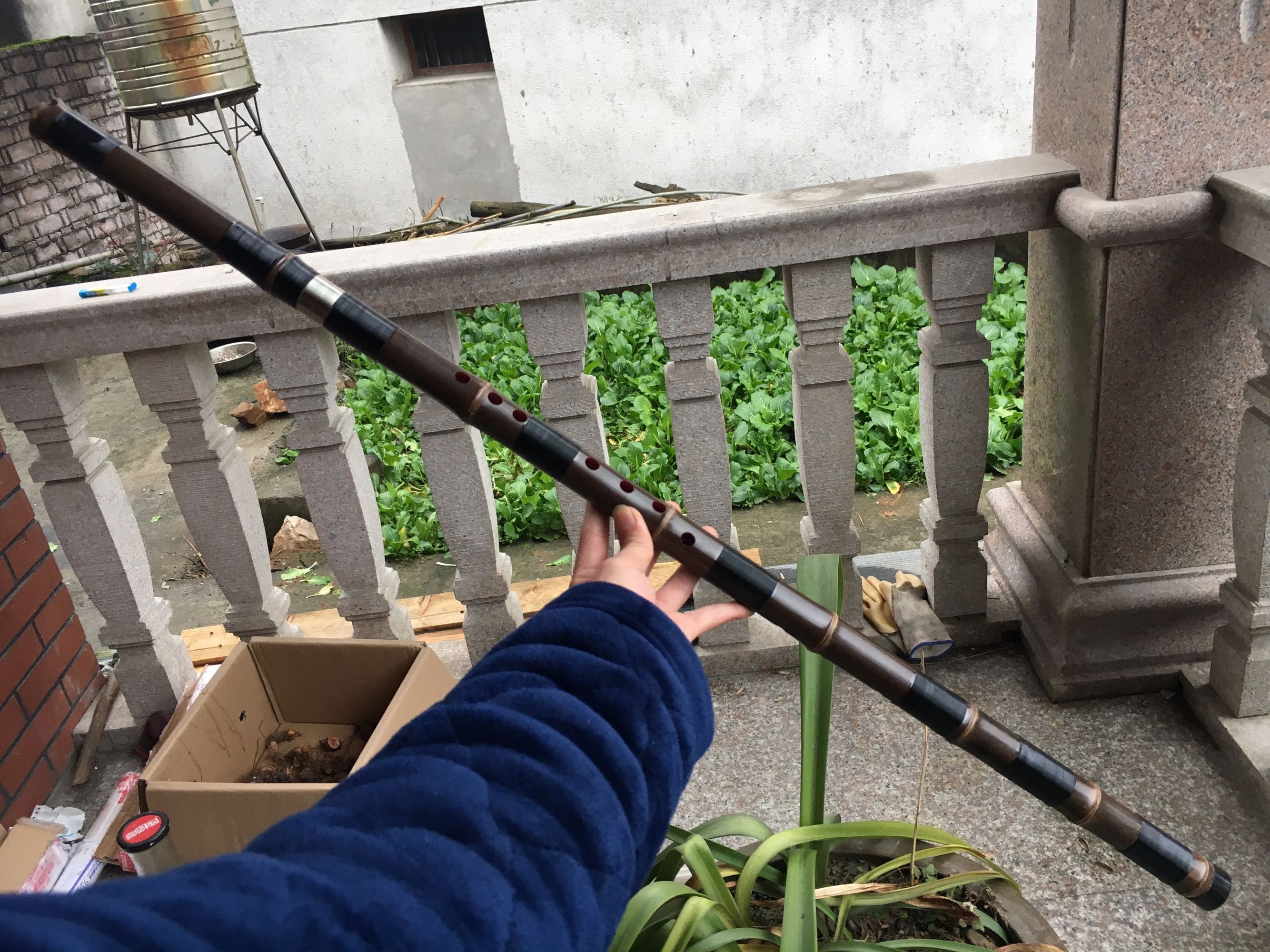 [Lắng nghe mưa] 8 tám lỗ F G ngắn performance buổi biểu diễn chuyên nghiệp dài Xiao Zizhu lỗ 箫 tinh chế một cây tre begin nhạc cụ mới bắt đầu - Nhạc cụ dân tộc sáo trúc mão mèo