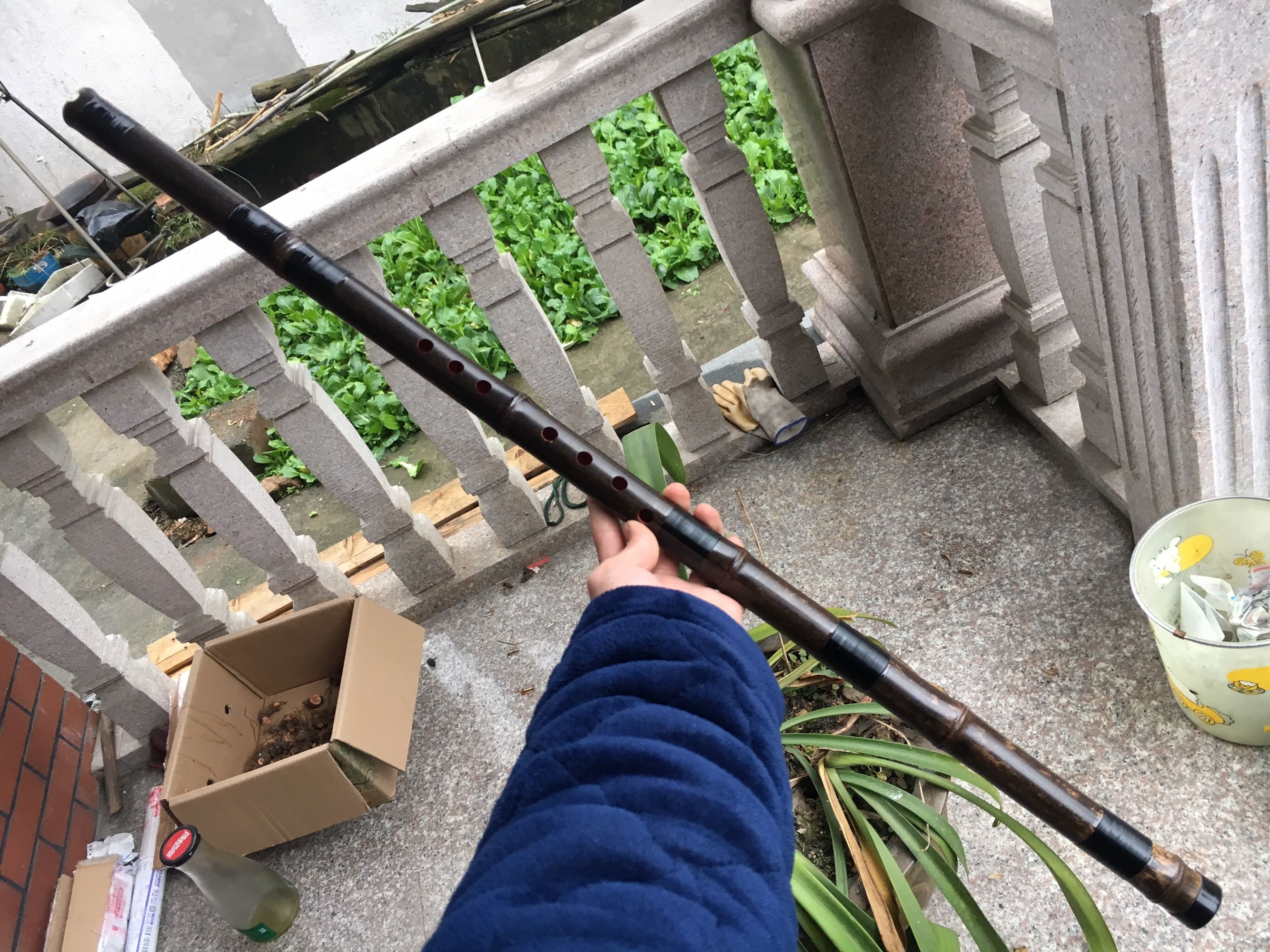 [Lắng nghe mưa] 8 tám lỗ F G ngắn performance buổi biểu diễn chuyên nghiệp dài Xiao Zizhu lỗ 箫 tinh chế một cây tre begin nhạc cụ mới bắt đầu - Nhạc cụ dân tộc sáo trúc mão mèo