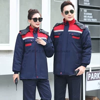 Красное плечо живое хлопчатовод