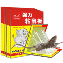 (20 sheets) Chitian sticky mouse plate enlarged thickened mouse paste mouse repellent mousetrap rodenticizer rubber cage medicine home