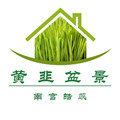 皓蕊南宫黄韭盆栽