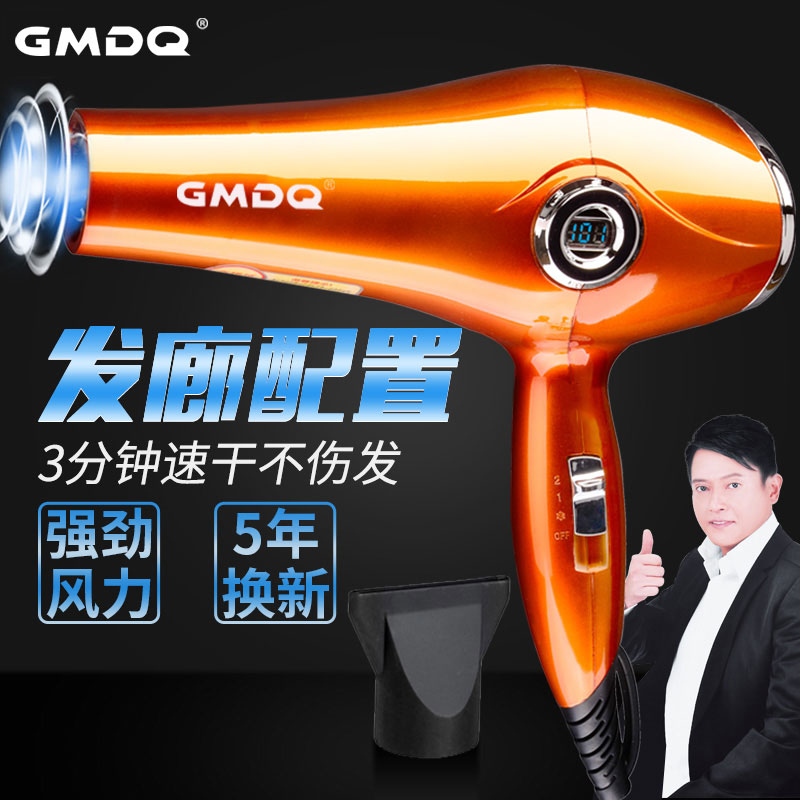 Hair Dryer Home Hairdresshop Hair Salon Special High Power Not Hurt Hair Negative negative and cold hair dryer mute