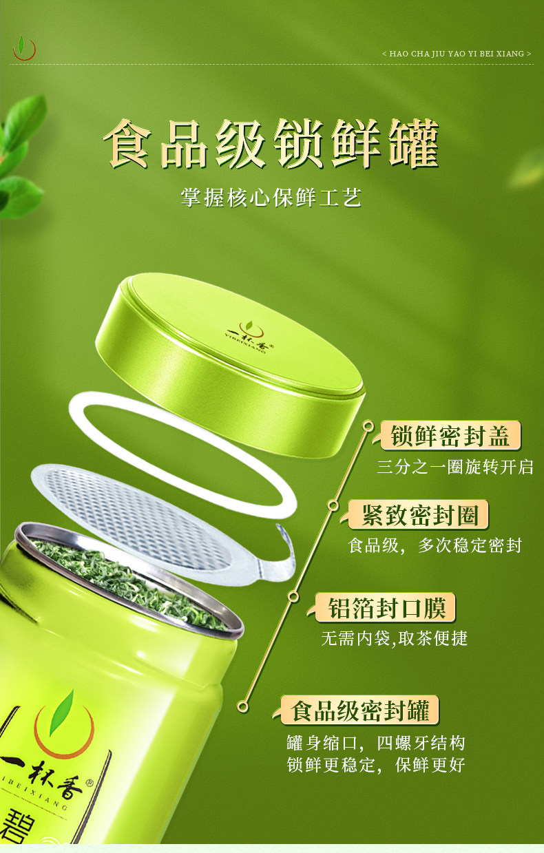 【中國直郵】 一杯香 碧螺春 蘇州明前茶葉綠茶禮盒裝2025新茶濃香自己喝 250g