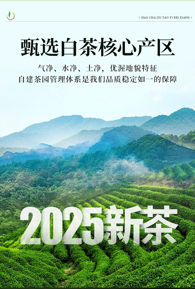 【中國直郵】 一杯香 2025新茶白茶明前安吉綠茶茶葉自己喝春茶 100g*2罐