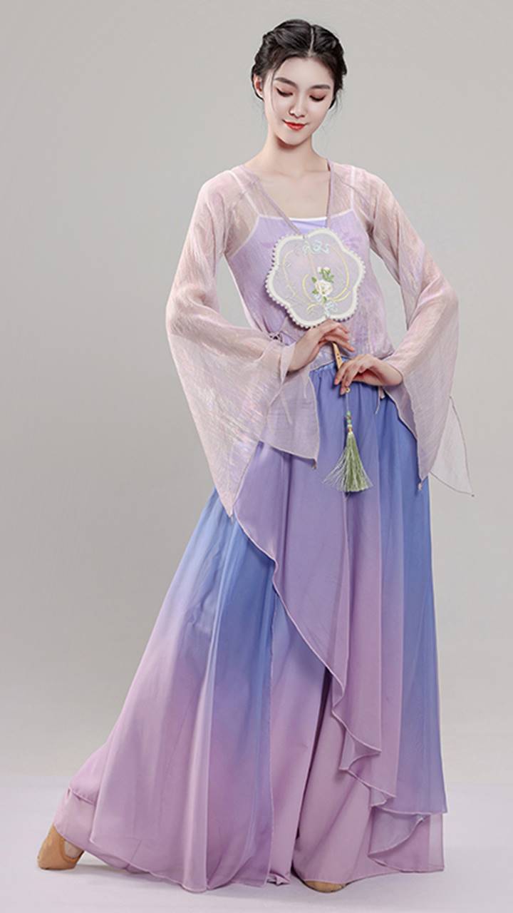 古典舞蹈服女飘逸身韵纱衣练功服新款仙气古风中国舞蹈演出服套装