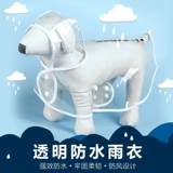 Дорога и собака летняя осенняя одежда плюшевые мишки медведя снежный повествование