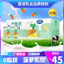 (250ml * 20 boxes) Xia Jin Yogurt Pineapple Milk Drink Xia Jin Milk Youyi Yogurt Ume Yogurt