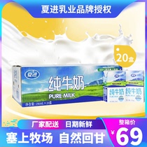 20 boxes x250ml Xia Jin pure milk Ningxia halal children pregnant women nutrition breakfast students Middle-aged milk box