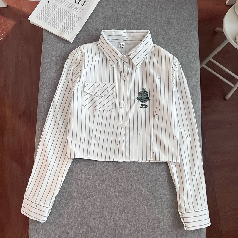Harry Potter Collaboration College-Style Striped Long-Sleeve Shirt Trendy Embroidered Top for Women, Waist-Cinching Short Style, Slimming