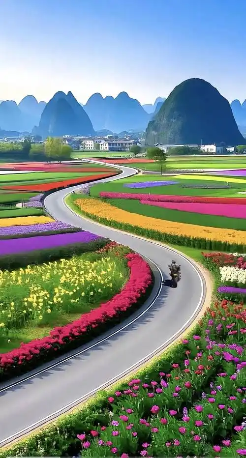 瑞康运的小店28