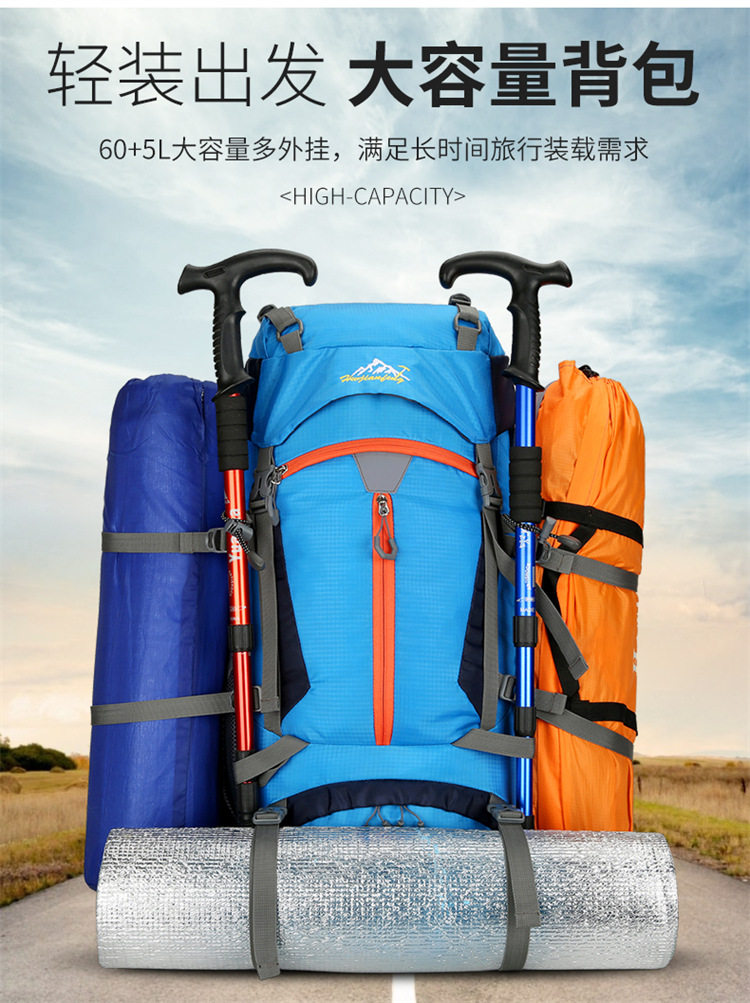 Туристический рюкзак для походов и кемпинга Professional Outdoor 60+5L