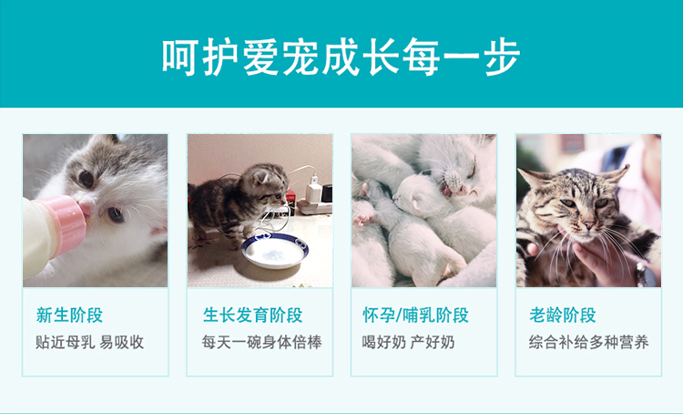 Wei Shi dog dê sữa bột 200g pet con chó con mèo sơ sinh teddy vàng tha chó con bổ sung dinh dưỡng canxi - Cat / Dog Health bổ sung sữa cho mèo con mới đẻ