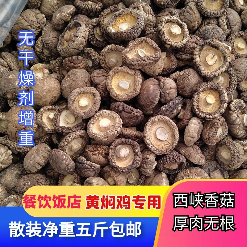 West Gorge Dried Mushrooms New Goods 2500g Catering Yellow Braising Chicken Canteen Special Mushrooms No Root Mushrooms Bulk-Taobao