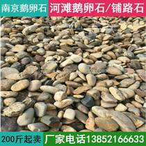 Nanjing natural river beach stone River pebbles cobblestone filter material black gravel stone Washed stone Garden paving stone