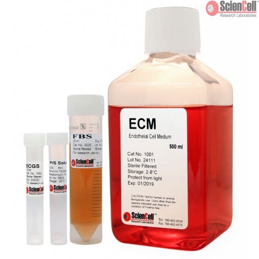 ScienCell 1001 内皮细胞培养基 ECM培养液 500ML