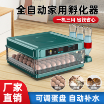 Wei Qian rutin chicken incubator small household mini incubator fully automatic intelligent egg incubator chicken incubator