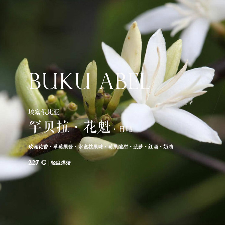 Down Single Baking Ethiopia Siddharma Flower Quetta HAMBELA sunburn G1 boutique coffee beans 227g