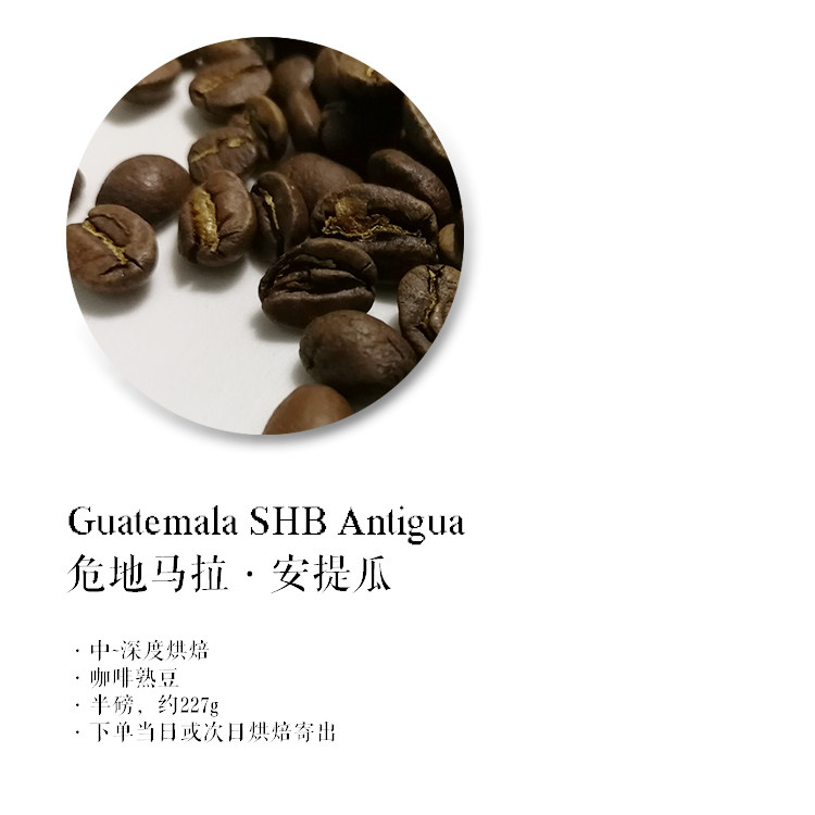Coffee bean Guatemala Antigua GUATEMALA boutique coffee bean freshly baked for half-pound 227g
