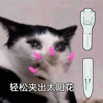 Marianne eyelash curler curling segmented eyelash curler small and long-lasting shape Mary Ann new partial eyelash curler