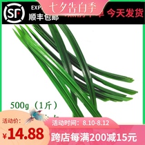 Fresh Colorful leaf Fragrant Orchid leaf Banlan Leaf Melaleuca Cake Colorful Cake Coconut Sago Cake Mango Glutinous Rice 500g