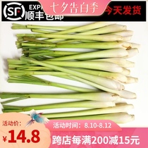 Fresh lemongrass 500g Lemongrass Lemongrass Lemon fruit tea Thai Dongyanggong Soup raw material Hot pot seasoning