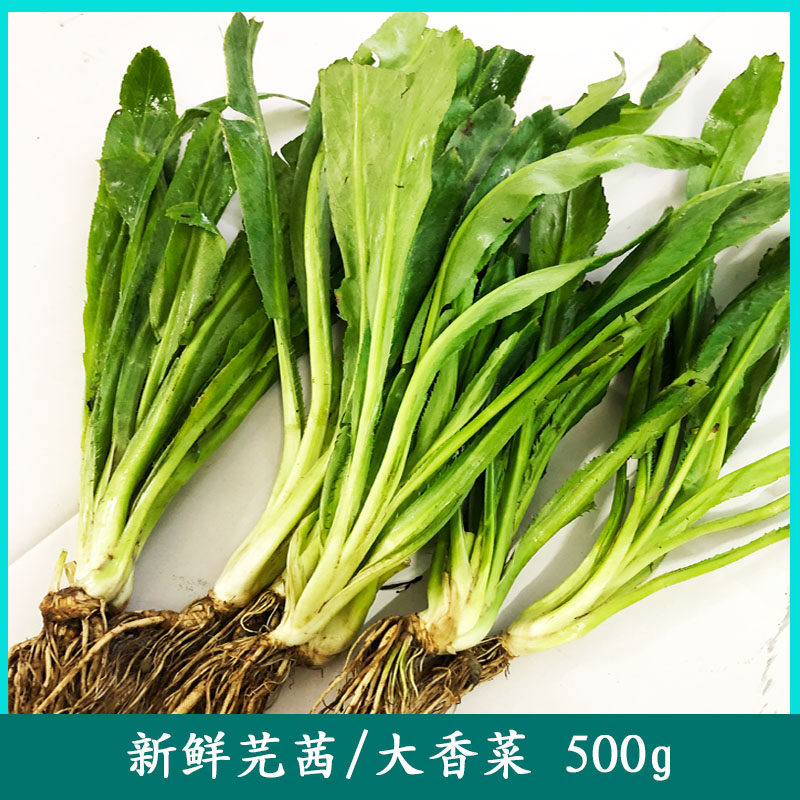 Thai Food Fresh Great Parsley Coriander Coriander coriander Coriander Cilantro Cress Cress Cress Goody Goose Ty 500g Thai Winter Yin Soup Soup Material